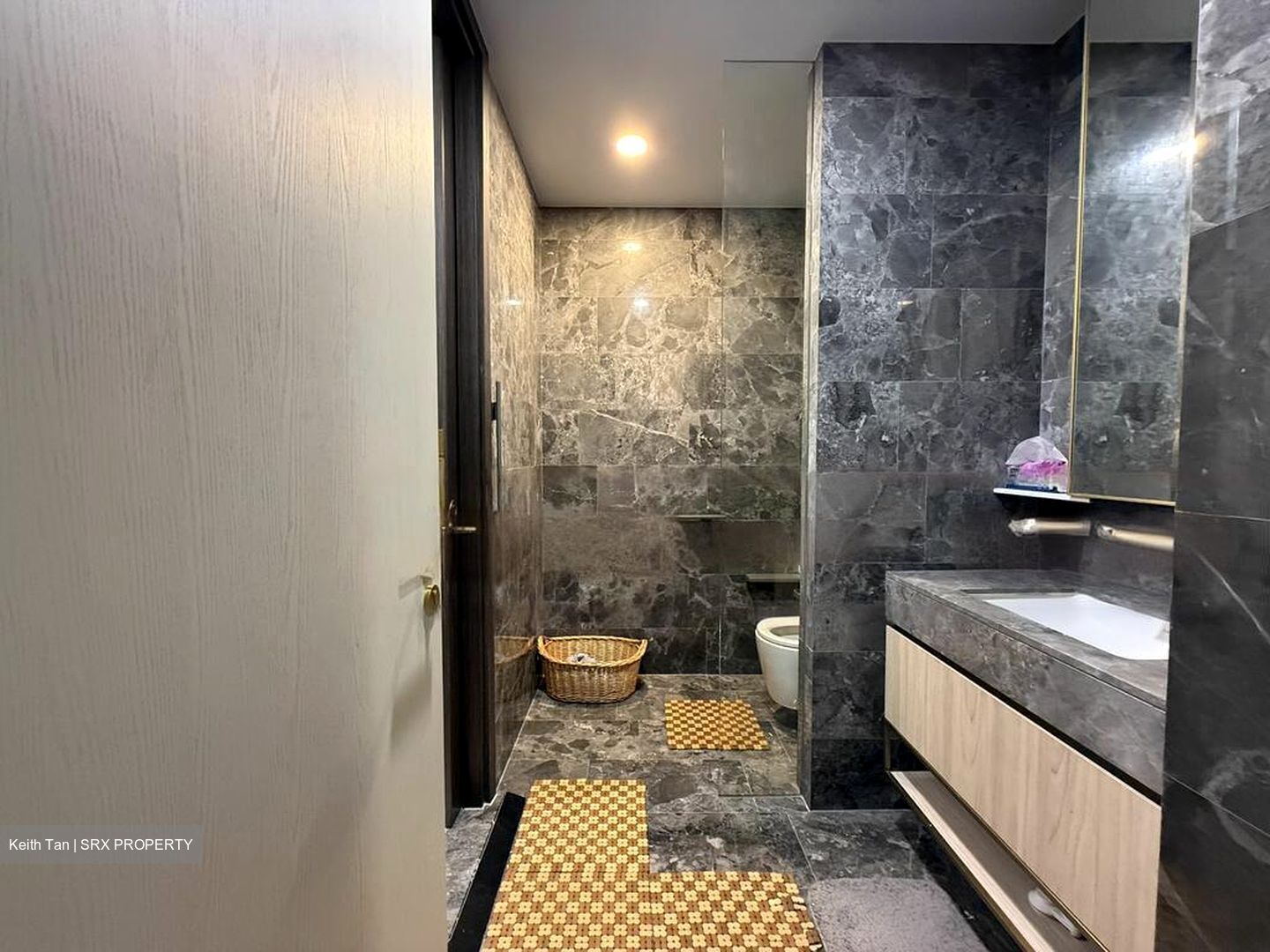 Meyer Mansion (D15), Apartment #479977141